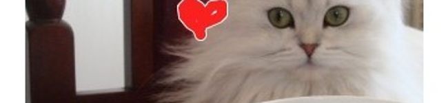 CafeManche's header image