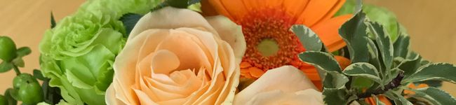 akanexpad's header image