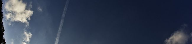 ハリュ吉's header image