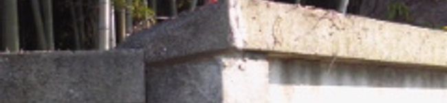 mikarafa's header image