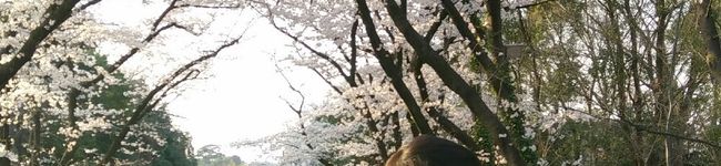 ミエワン's header image
