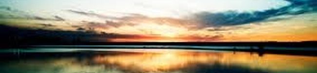 yume2255's header image