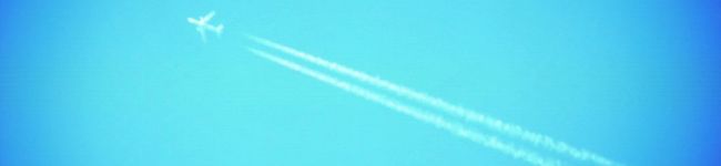 sky。's header image