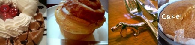 SallyCook's header image