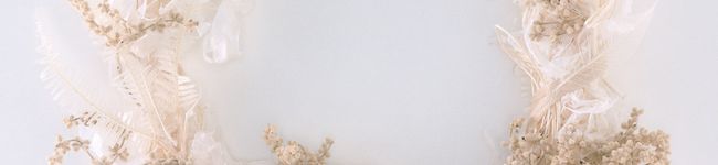 dragonmami's header image