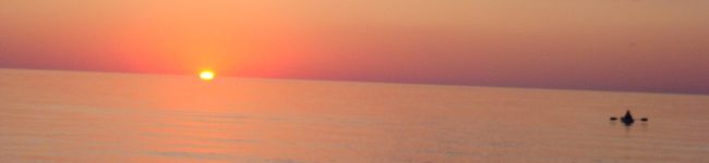 yut0ri's header image
