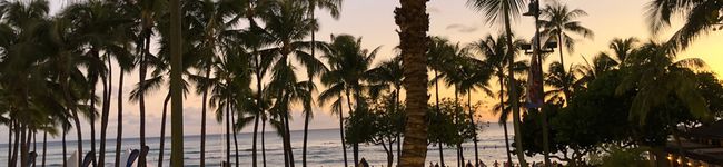 めいっぷる's header image