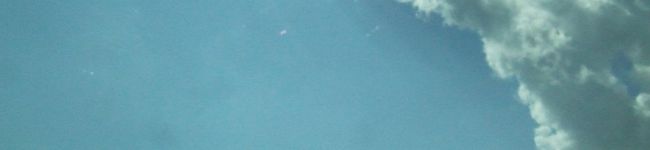 mecho's header image