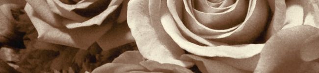 nabeko44kazu's header image