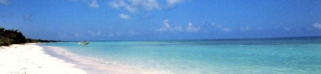 kumichef's header image