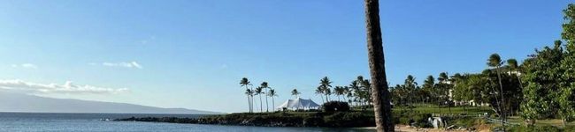 marihawaii's header image