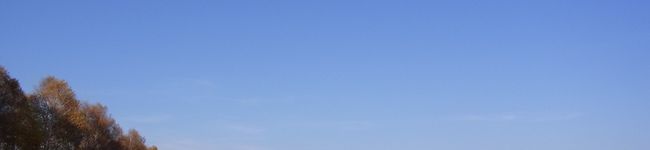 せりきた's header image