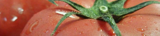 quonnbass's header image