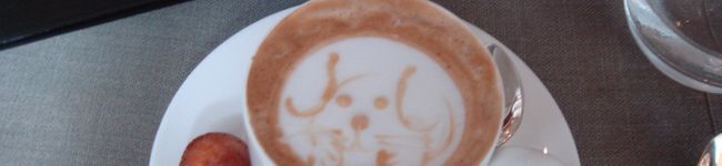 ちゃみ公's header image