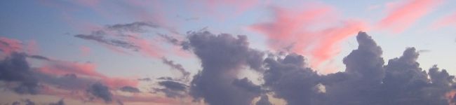 Suama's header image