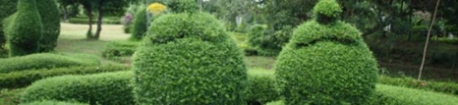 AochanBKK's header image