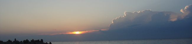 mariko393939's header image