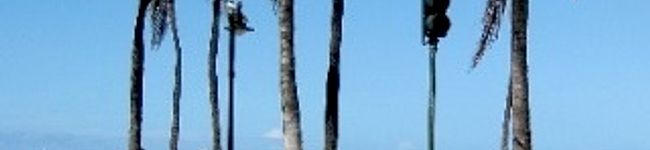 kotaba's header image