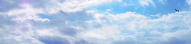 羽石つかさ's header image