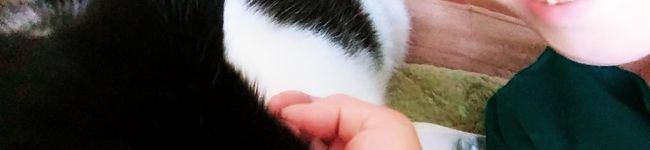 ☆大ちゃんママ☆'s header image