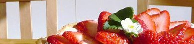 青いリンゴ's header image