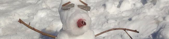 ぽかろか's header image
