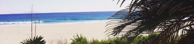Beachchic's header image