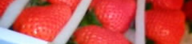 mocochige's header image