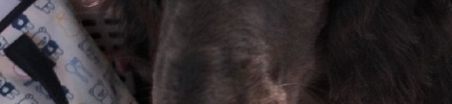 Hannamari's header image