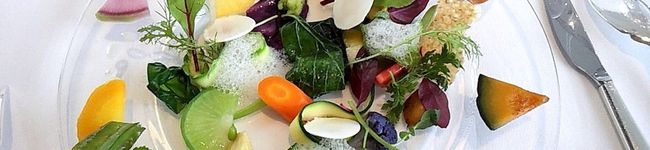 toppico's header image
