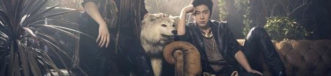 junchaTVXQ's header image
