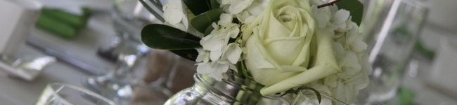 cocoabean's header image