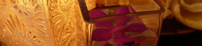 asamine's header image