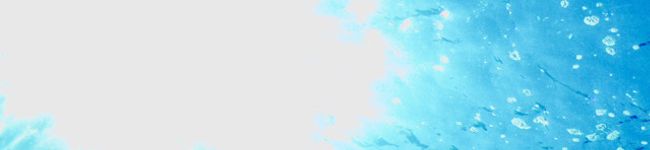 mei924's header image
