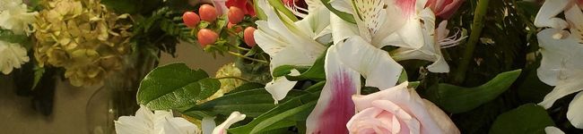minminola's header image