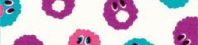 もっちシェフ's header image