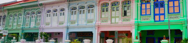 PｉNｏKｏ's header image