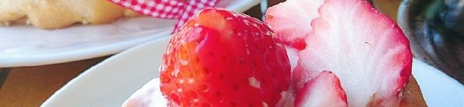 ぷううさぎ's header image