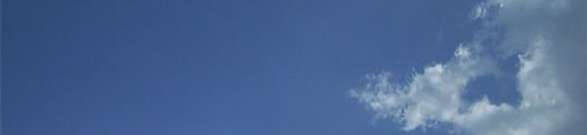 marito's header image