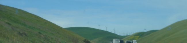 mamie-t's header image