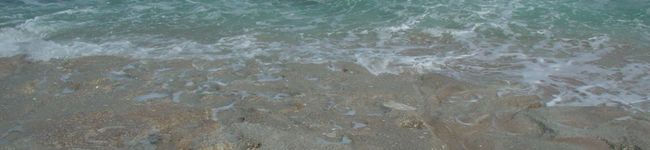 wei's header image