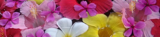 sasakina's header image