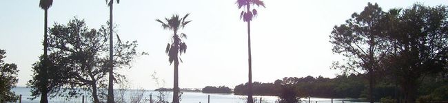 るーさん's header image