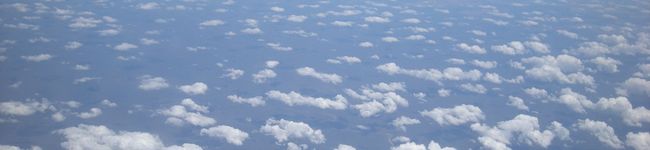 5ぺんぎん's header image