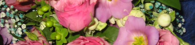 mintiastar's header image