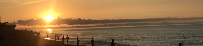 猫又マタタビ's header image