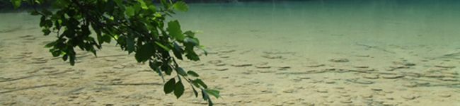 白沢あおい's header image