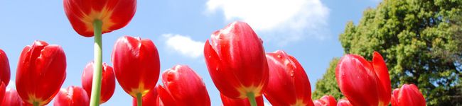 mary21's header image