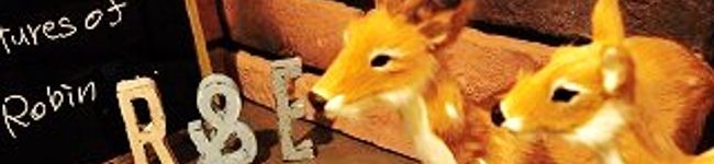 chibimocha's header image