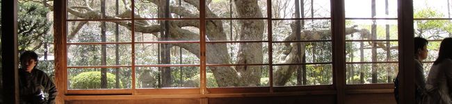 暢ママ's header image